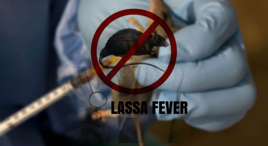 NCDC Declares The End Of Emergency Phase Of Lassa Fever Outbreak For 2020