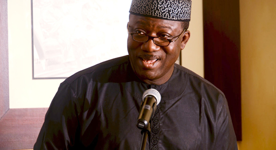 The Minister of Mines and Steels Development, Dr. Kayode Fayemi 