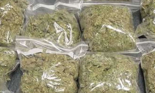 U.N. Reclassifies 'Weed'