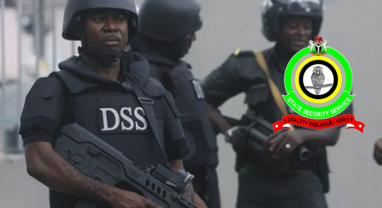 Abimbola, I Know What The Dss Really Really Does And Wants By Dr. Peter Afunanya