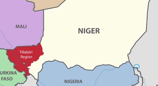 Niger war
