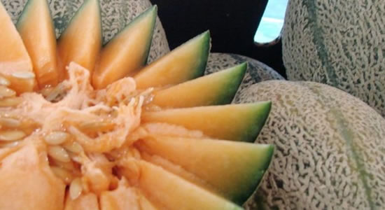 CDC Cautions Against Salmonella Outbreak From Pre-Cut Melons 