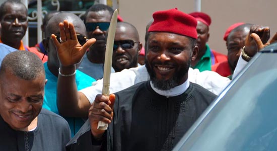 2023: Only South-east Presidency Will Guarantee National Stability ― Chidoka