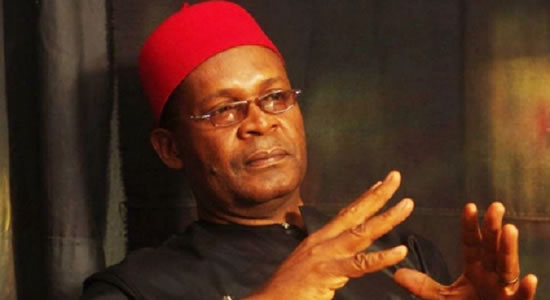 Buhari Has Performed Well, Only Liars Claim He Has Not Done Well - Igbokwe