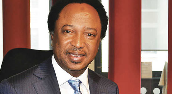 Impeachment Threat: Focus On 2023 Election Instead – Shehu Sani To PDP Lawmakers