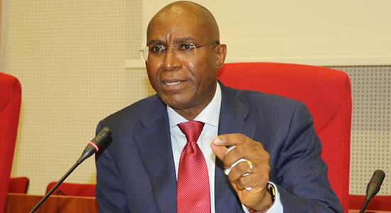 Constitutional Review: Report To Be Presented In July – Omo-Agege