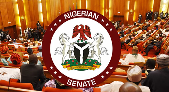 Senate Passes N876bn NDDC Budget