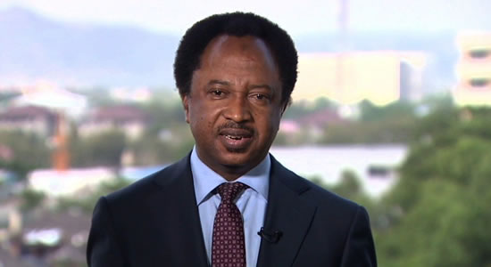 Shehu Sani Attacks Chinese Supermarket In Abuja For Denying Citizen Access To Shopping