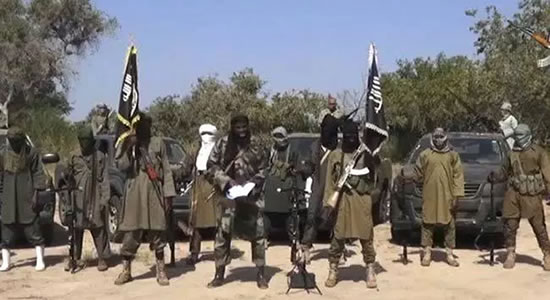 Boko Haram Attacks Adamawa Community, Kill 5, Abducts Women