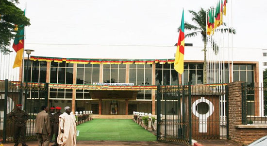 Overnight Fire Razes Cameroonian Parliament