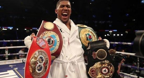 Boxing: Anthony Joshua Knocks Out Pulev To Retain Title