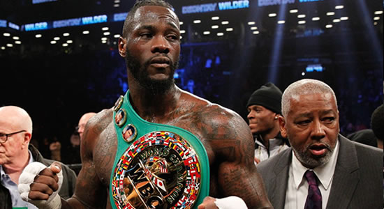 Deontay Wilder: 'I want a body on my record'