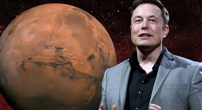 Elon Musk Sells Tesla Shares Worth $6.9bn